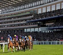 Check out this Hunt Cup outsider