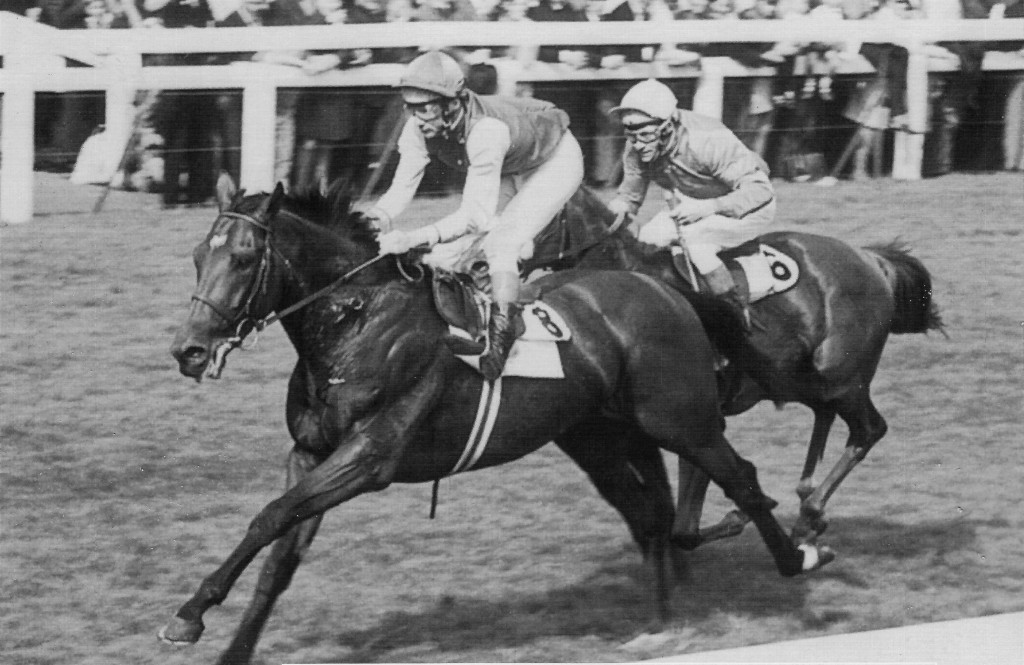 Nijinsky Wins St Ledger 1970