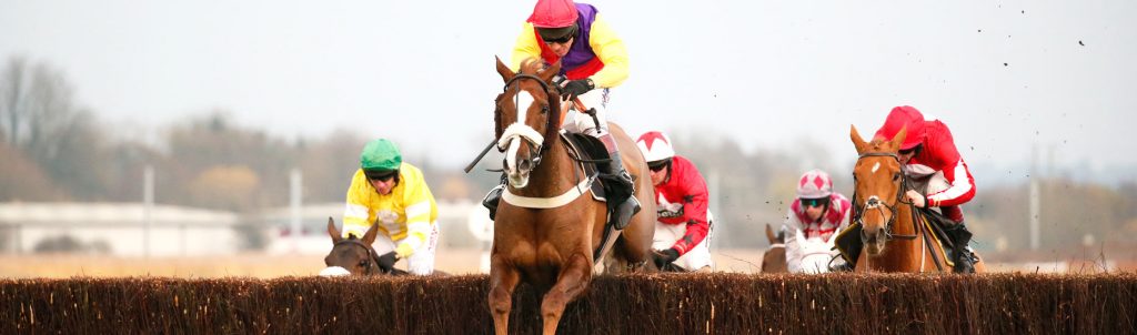 Ntive River wins Hennessy Gold Cup 2016