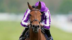 Snowfall wins Musidora