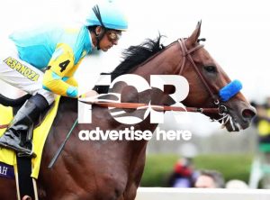 Advertise here (image is American Pharoe who won the US Breeders Cup in 2015)
