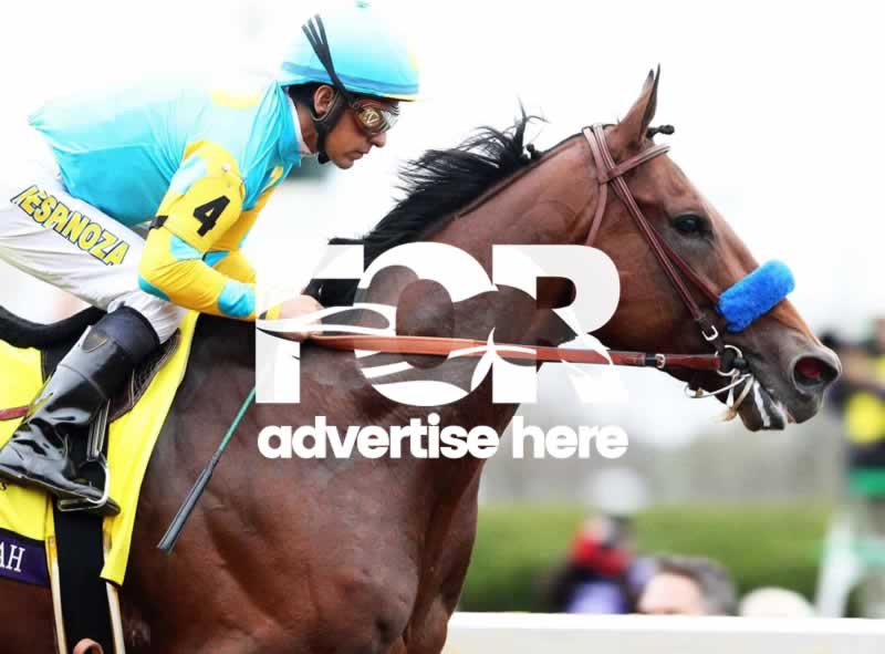 Advertise here (image is American Pharoe who won the US Breeders Cup in 2015)