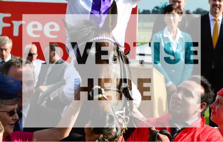 Advertise on Festivals of Racing