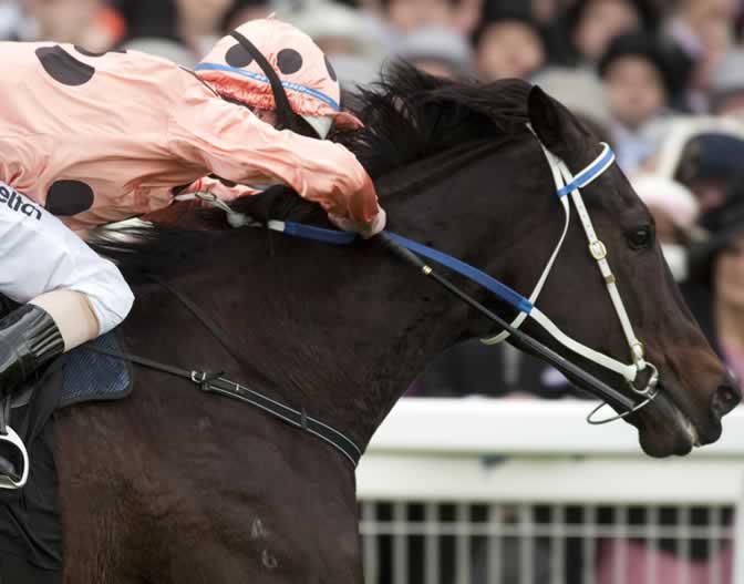Black Caviar wins Diamond Jubilee STakes at Royal Ascot