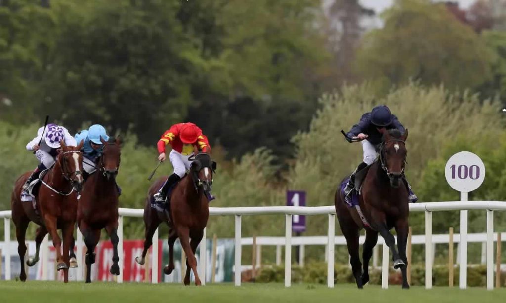 Bolshoi Ballet Derby Trial Winner at Derristown