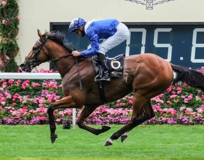 Lord North Wins Prince of Wales Stakes 2020 at Royal Ascot
