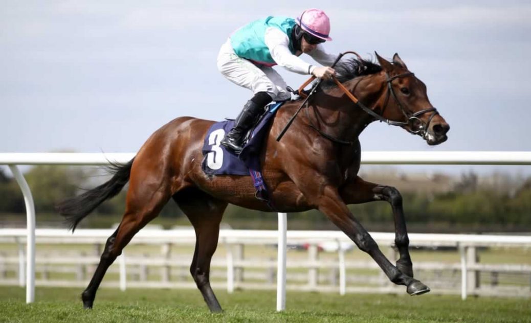 Noon Star daughter of Derby hero Galileo and an Oaks contender