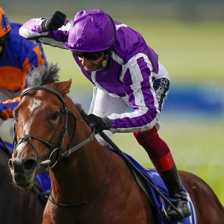 A racehores called Wembley