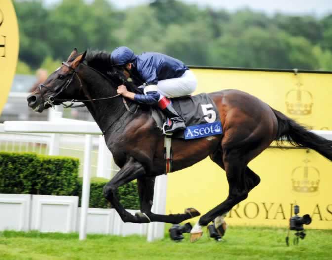 Yeats wins the Gold Cup at Royal Ascot 4 times