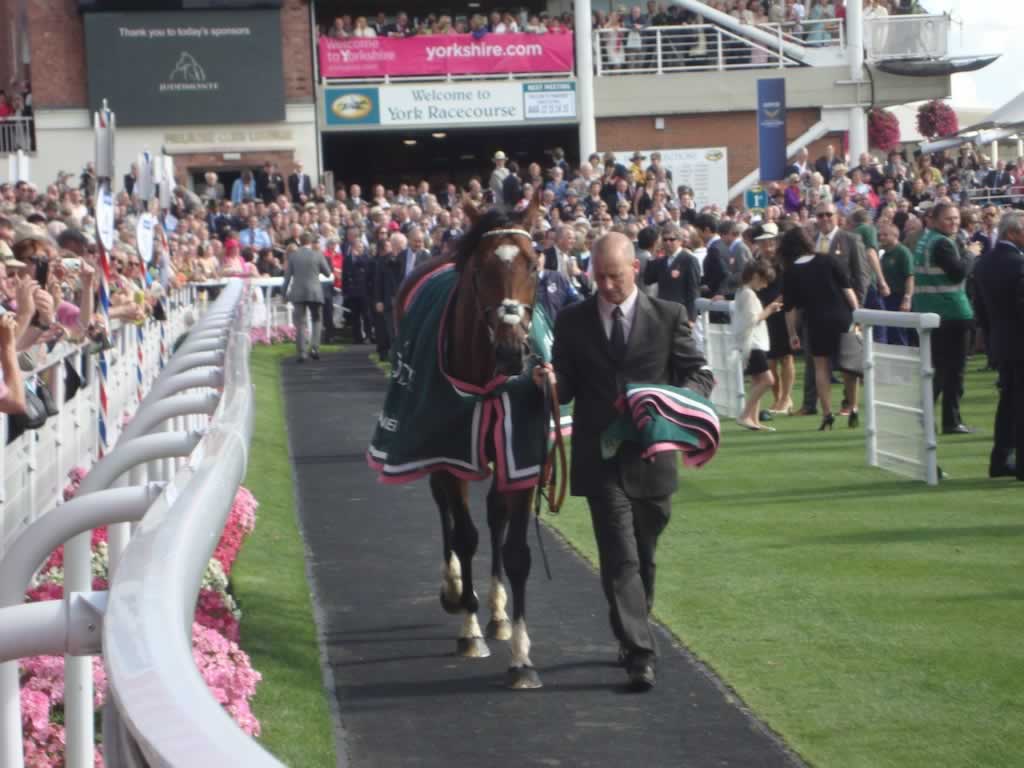 Frankel parades at York Racecourse after winning at The Juddmonte International Stakes at the Ebor