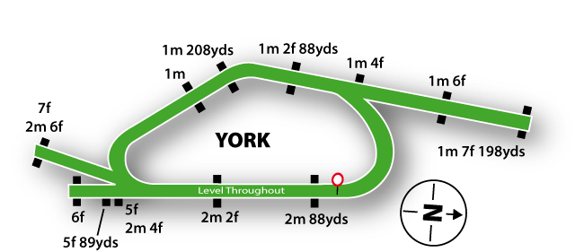 York Course Guide