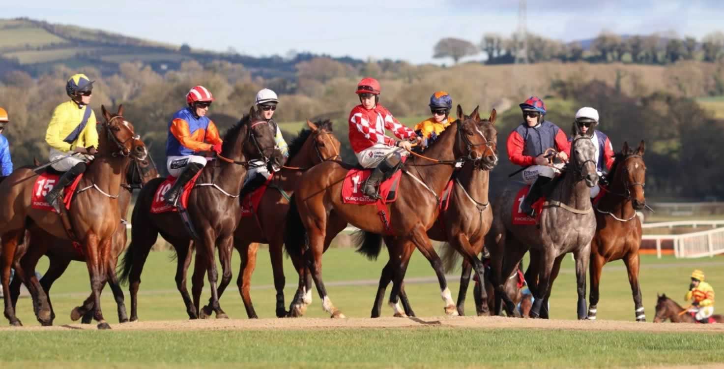 racehorses ready to race at Punchestown