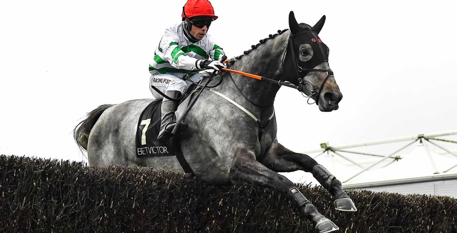 Novice Steeplechase winner at Punchestown