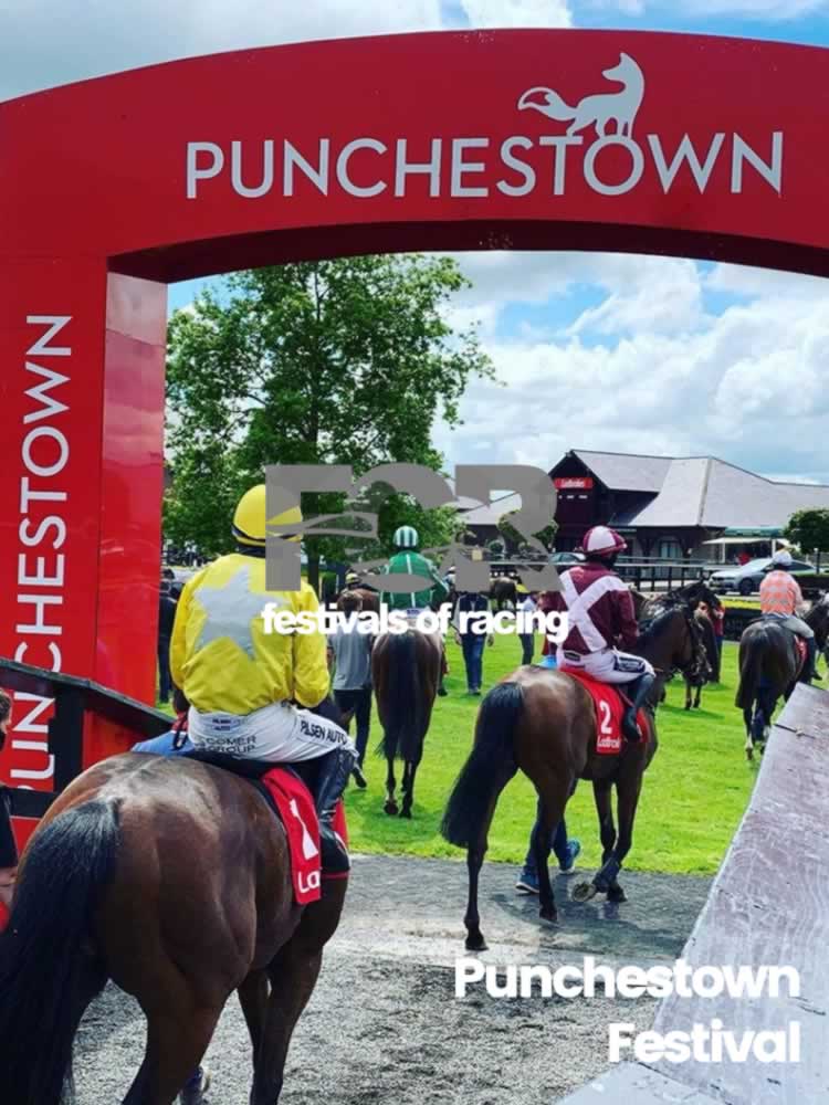 Punchestown Festival Banner