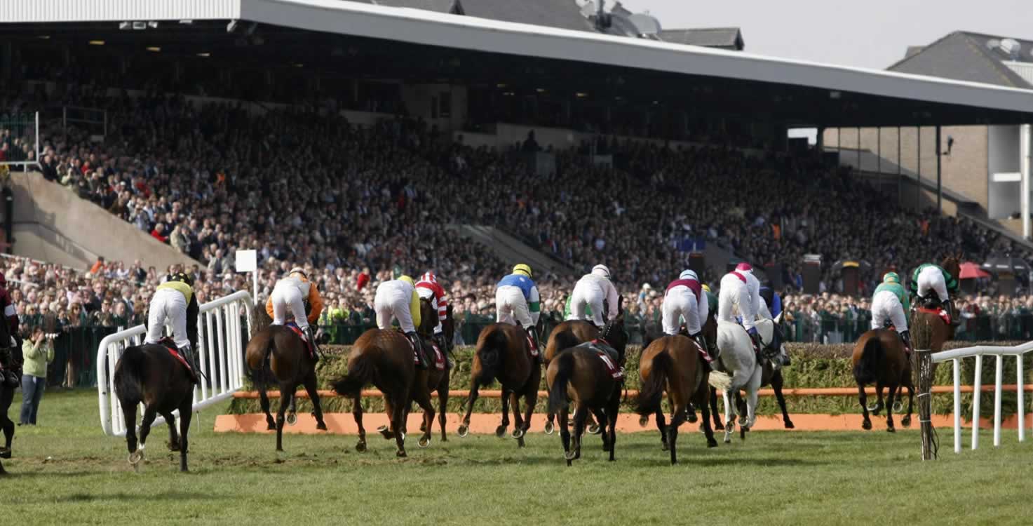 Punchestown grandstand