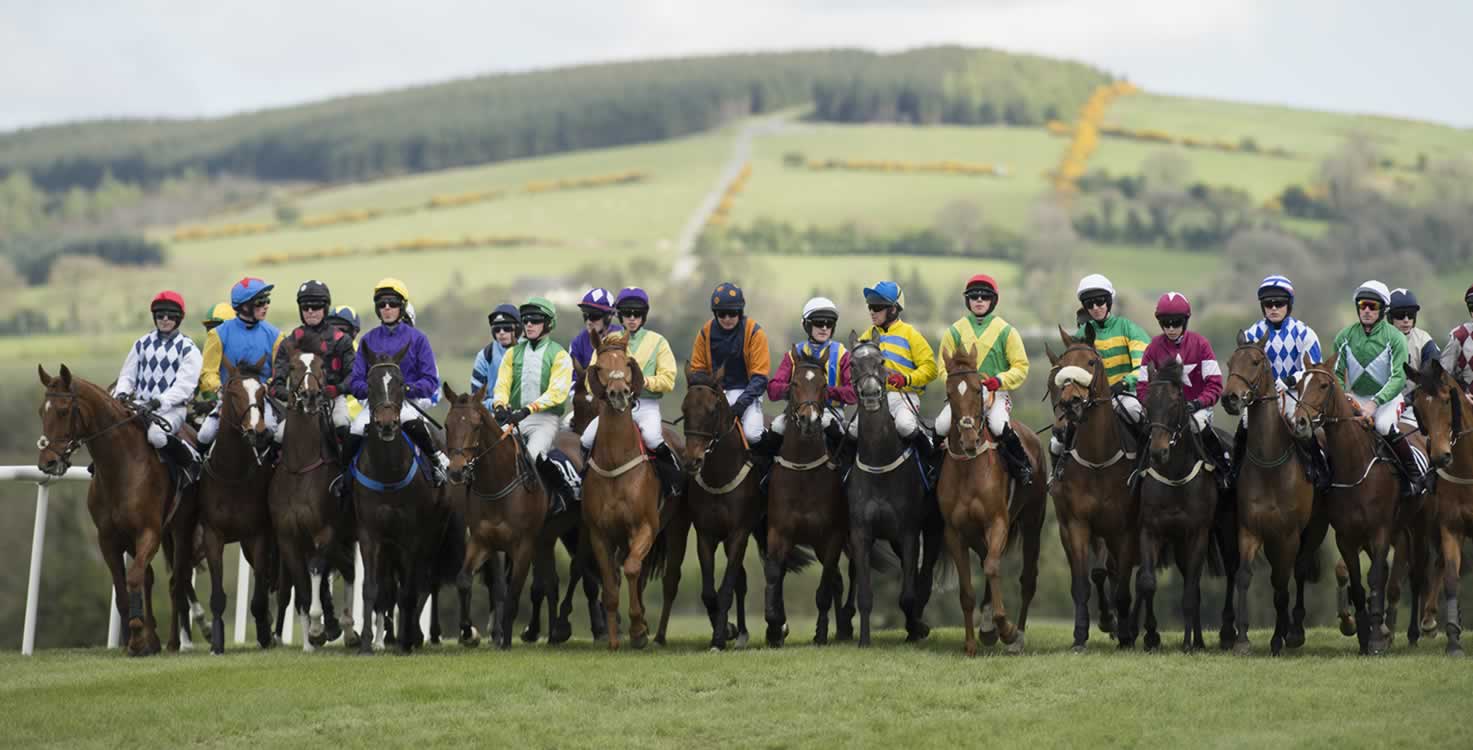 Punchestown steeplechase lineup