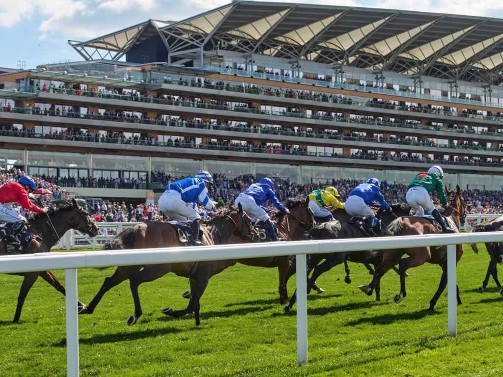 Up-close racing action at Royal Ascot