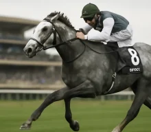 Blue Bolt reinforces top-level form with Prix Rothschild success at Deauville