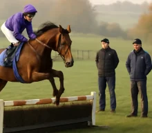 Amo Racing to make first foray into National Hunt as Diligo joins Max Comley